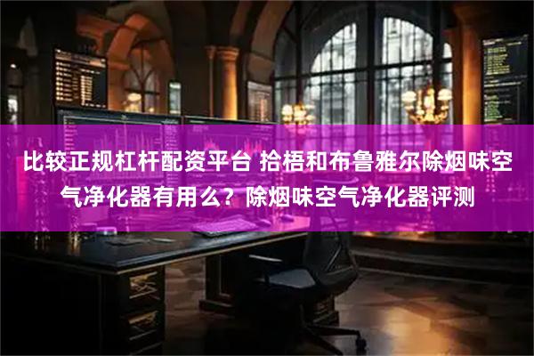 比较正规杠杆配资平台 拾梧和布鲁雅尔除烟味空气净化器有用么？除烟味空气净化器评测