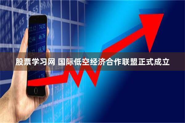 股票学习网 国际低空经济合作联盟正式成立