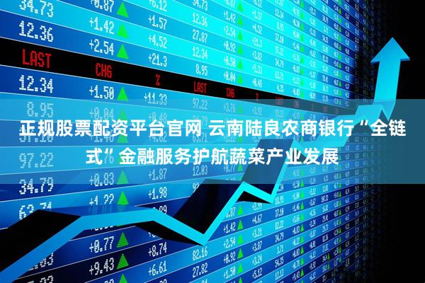 正规股票配资平台官网 云南陆良农商银行“全链式”金融服务护航蔬菜产业发展