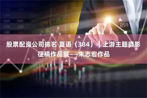 股票配资公司排名 夏语（384）｜上游主题摄影征稿作品展——朱志宏作品